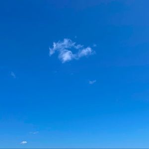 Meet your Posher, Vivian